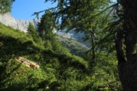 2015-07-01_1Pano-bei-Lacke (451).JPG